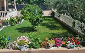 Apartmani Italo